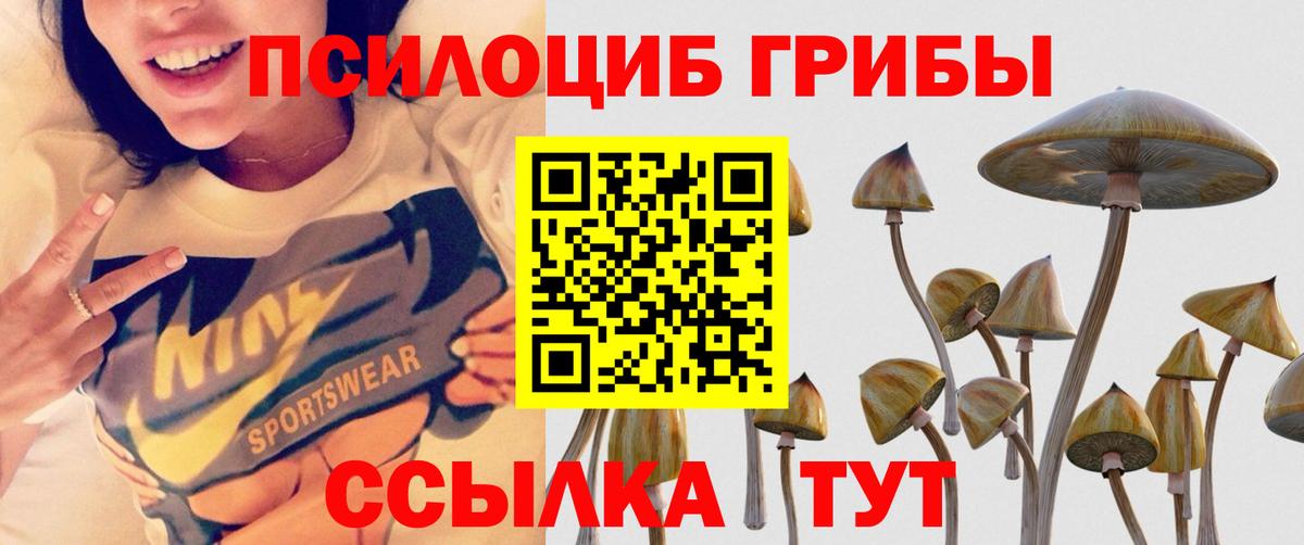 Галлюциногенные грибы MAGIC MUSHROOMS  Вход с VPN  Холмск 